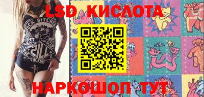 гашик Нальчик