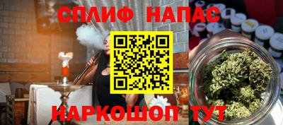 гашик Нальчик