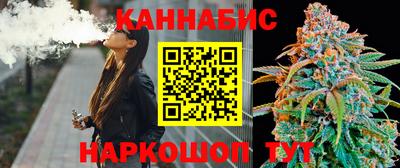 гашик Нальчик