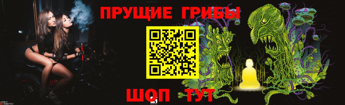 Псилоцибиновые грибы Psilocybine cubensis  Псилоцибиновые грибы GOLDEN TEACHER  что такое наркотик  Вход с VPN  Сарапул 