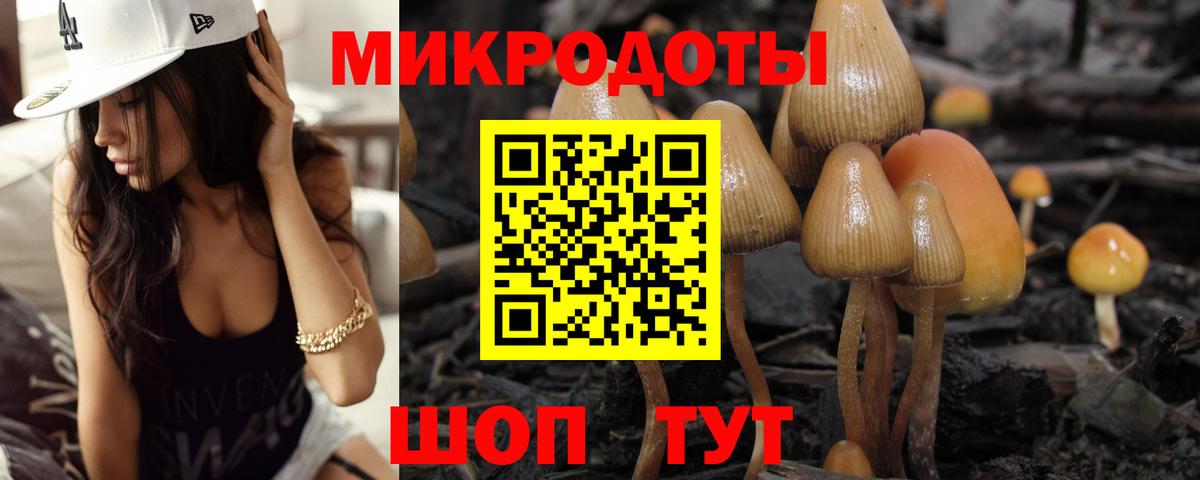 Галлюциногенные грибы GOLDEN TEACHER Сарапул